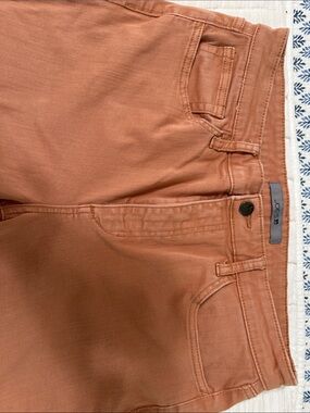 Joe's Jeans Skinny Jeans in Burnt Orange